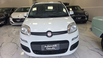 Fiat Panda 1.2 EasyPower Lounge usata
