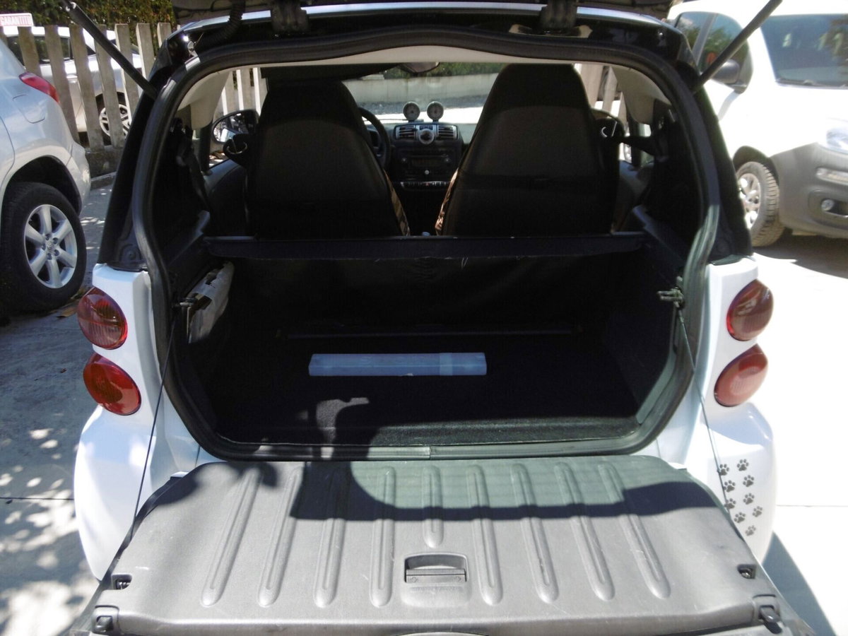 smart Fortwo 800 33 kW coupé passion cdi (16)