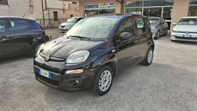 Fiat Panda 1.2 Easy usata