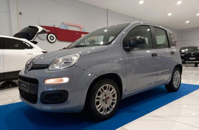 Fiat Panda 1.0 firefly hybrid s&s 70cv 5p.ti usata