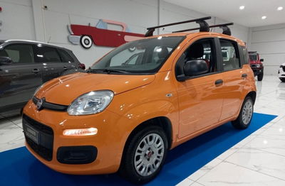 Fiat Panda 1.2 Easy usata