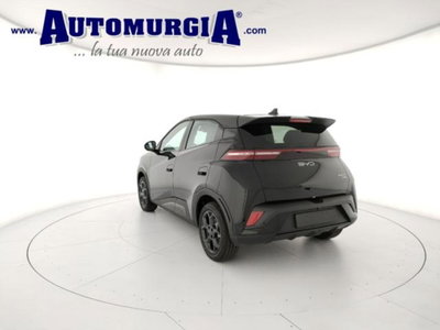 Byd Dolphin Surf 43,2 kWh Boost (3)