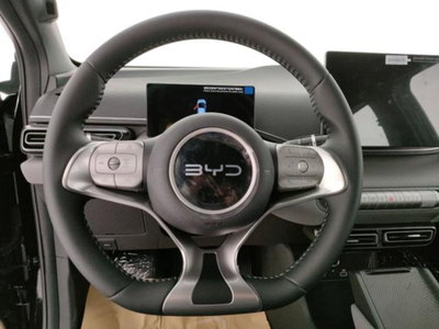 Byd Dolphin Surf 43,2 kWh Boost (7)