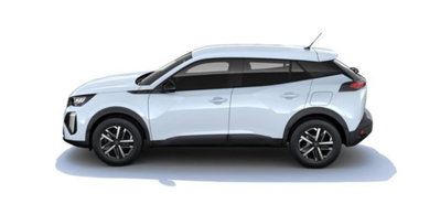 Peugeot 2008 54 kWh GT Exclusive (3)