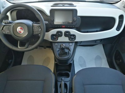 Fiat Pandina 1.0 firefly hybrid s&s 65cv (14)