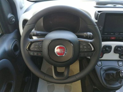 Fiat Pandina 1.0 firefly hybrid s&s 65cv (15)