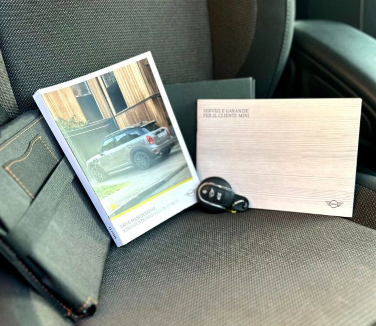 MINI Mini Countryman 1.5 Cooper Hype Countryman ALL4 Automatica (19)