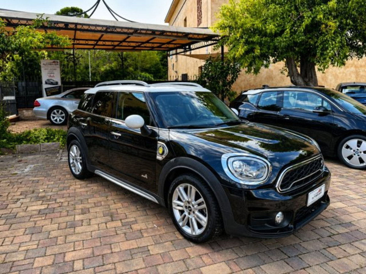 MINI Mini Countryman 1.5 Cooper Hype Countryman ALL4 Automatica (3)