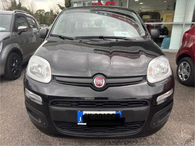 Fiat Panda 1.0 firefly hybrid s&s 70cv 5p.ti usata