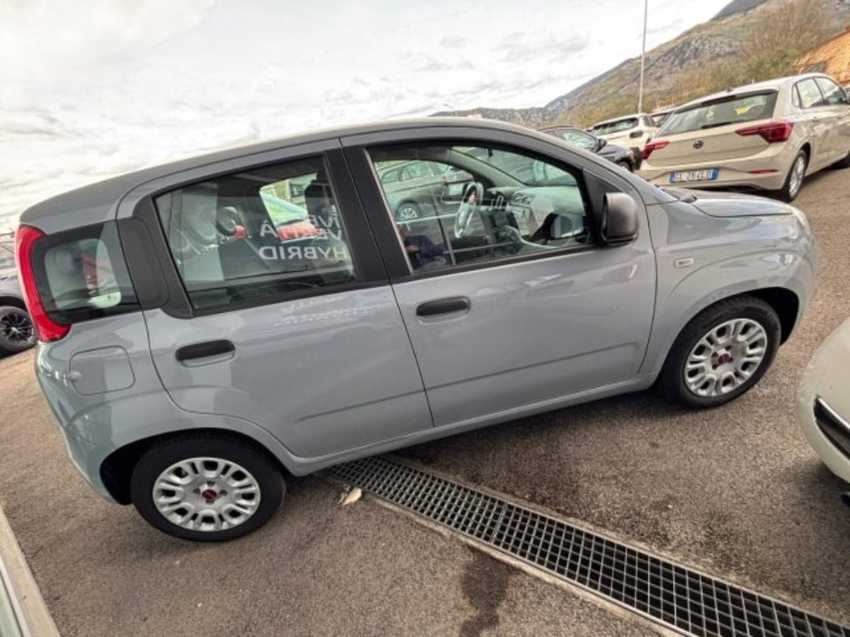 Fiat Panda 1.0 firefly hybrid s&s 70cv 5p.ti (6)