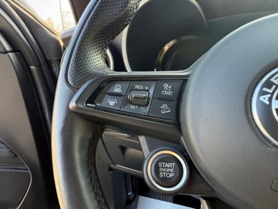 Alfa Romeo Stelvio Stelvio 2.2 Turbodiesel 210 CV AT8 Q4 Ti (17)