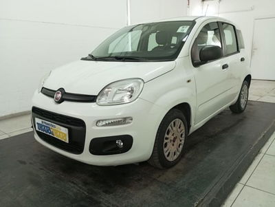 Fiat Panda 1.3 MJT 95 CV S&S Easy usata
