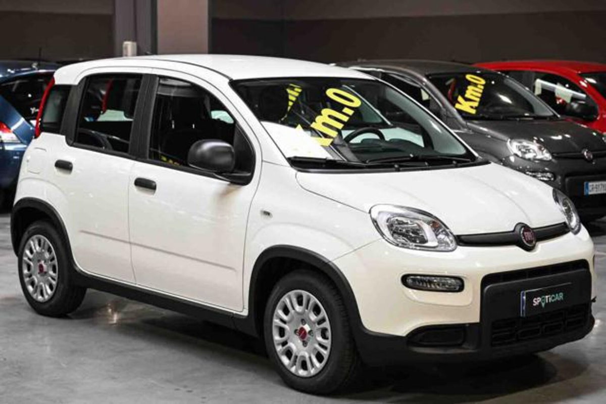Fiat Panda 1.0 firefly hybrid s&s 70cv 5p.ti (2)