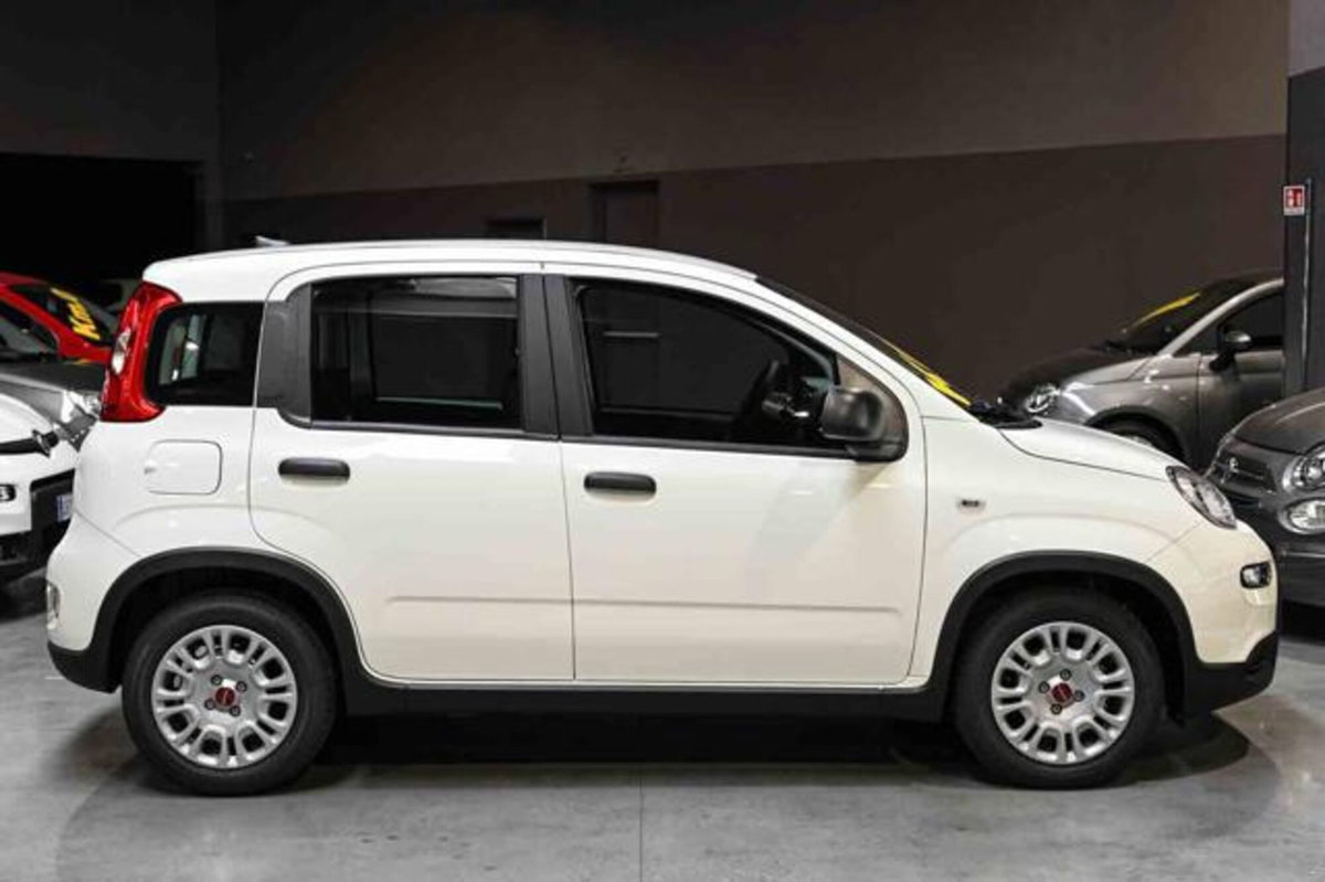 Fiat Panda 1.0 firefly hybrid s&s 70cv 5p.ti (18)