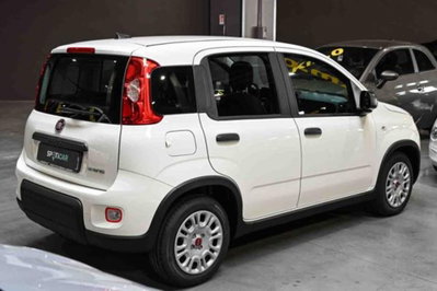 Fiat Panda 1.0 firefly hybrid s&s 70cv 5p.ti (5)