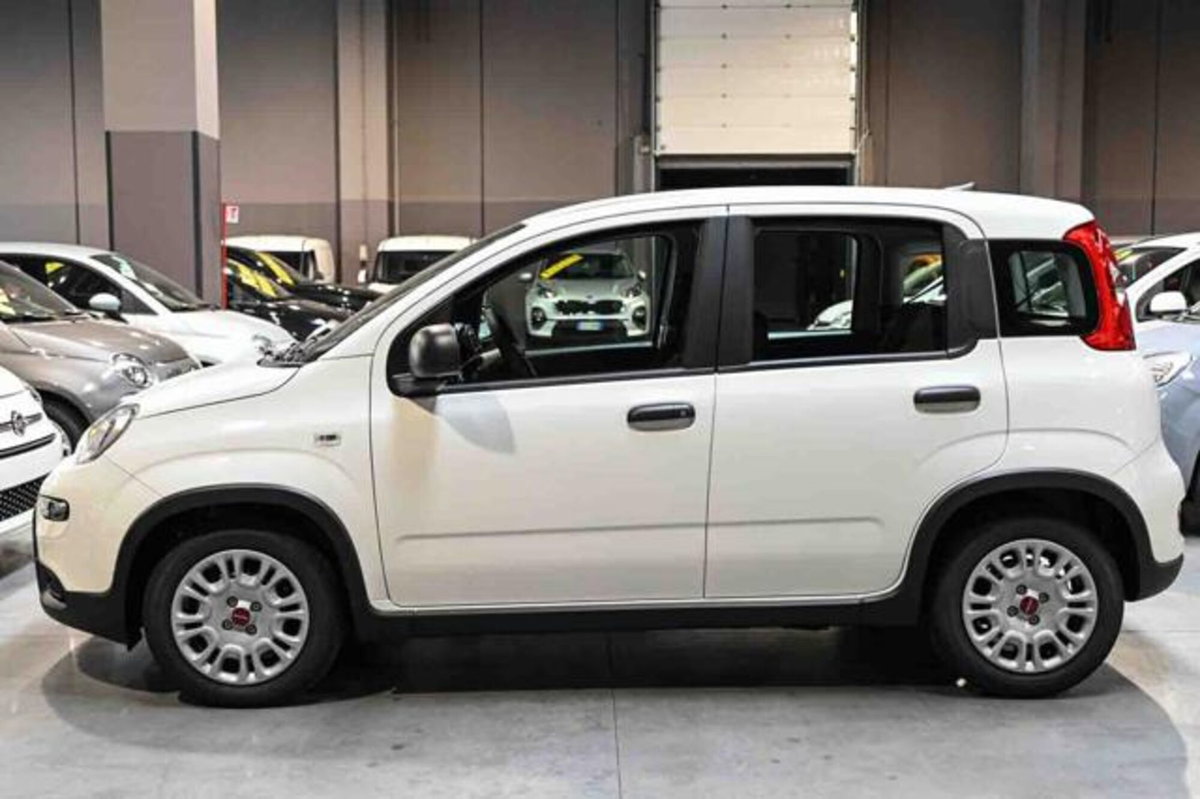 Fiat Panda 1.0 firefly hybrid s&s 70cv 5p.ti (20)