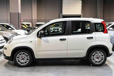 Fiat Panda 1.0 firefly hybrid s&s 70cv 5p.ti (8)