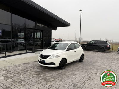 Lancia Ypsilon 1.2 69 CV 5 porte Elefantino usata