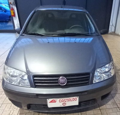 Fiat Punto 1.2 5 porte Active usata