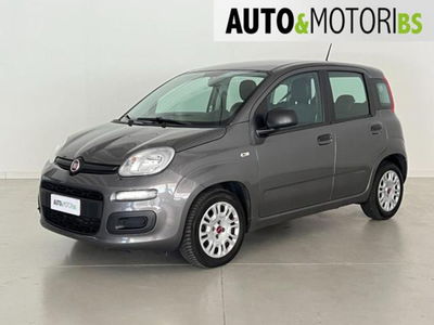 Fiat Panda 1.0 firefly hybrid s&s 70cv 5p.ti usata