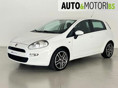Fiat Punto 1.2 8V 5 porte Easy usata