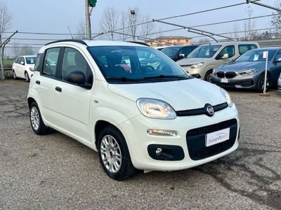 Fiat Panda 1.2 EasyPower Lounge usata