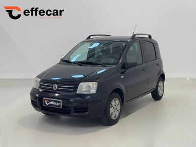 Fiat Panda 1.2 4x4 usata