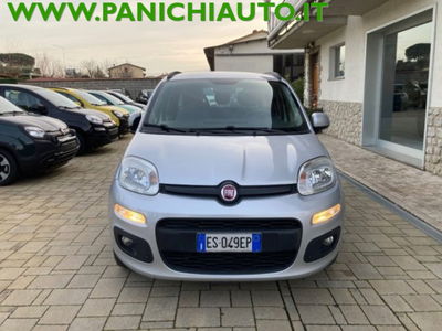 Fiat Panda 1.2 Easy usata