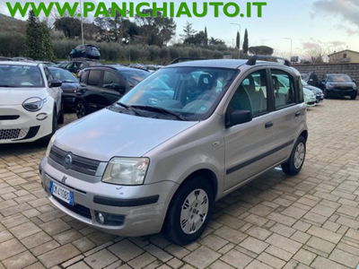 Fiat Panda 1.2 Dynamic usata