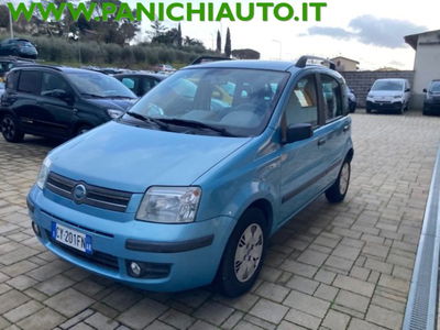 Fiat Panda 1.2 Dynamic usata