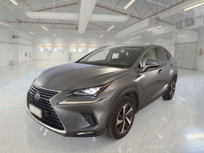 Lexus NX Hybrid 4WD Luxury usata