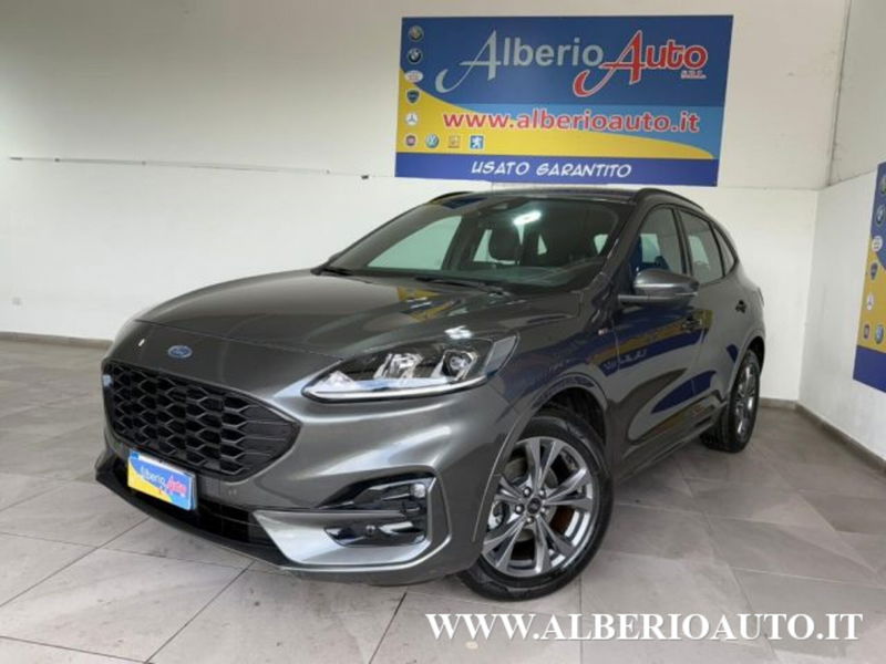 Ford Kuga 2.0 EcoBlue Hybrid 150 CV 2WD ST-Line