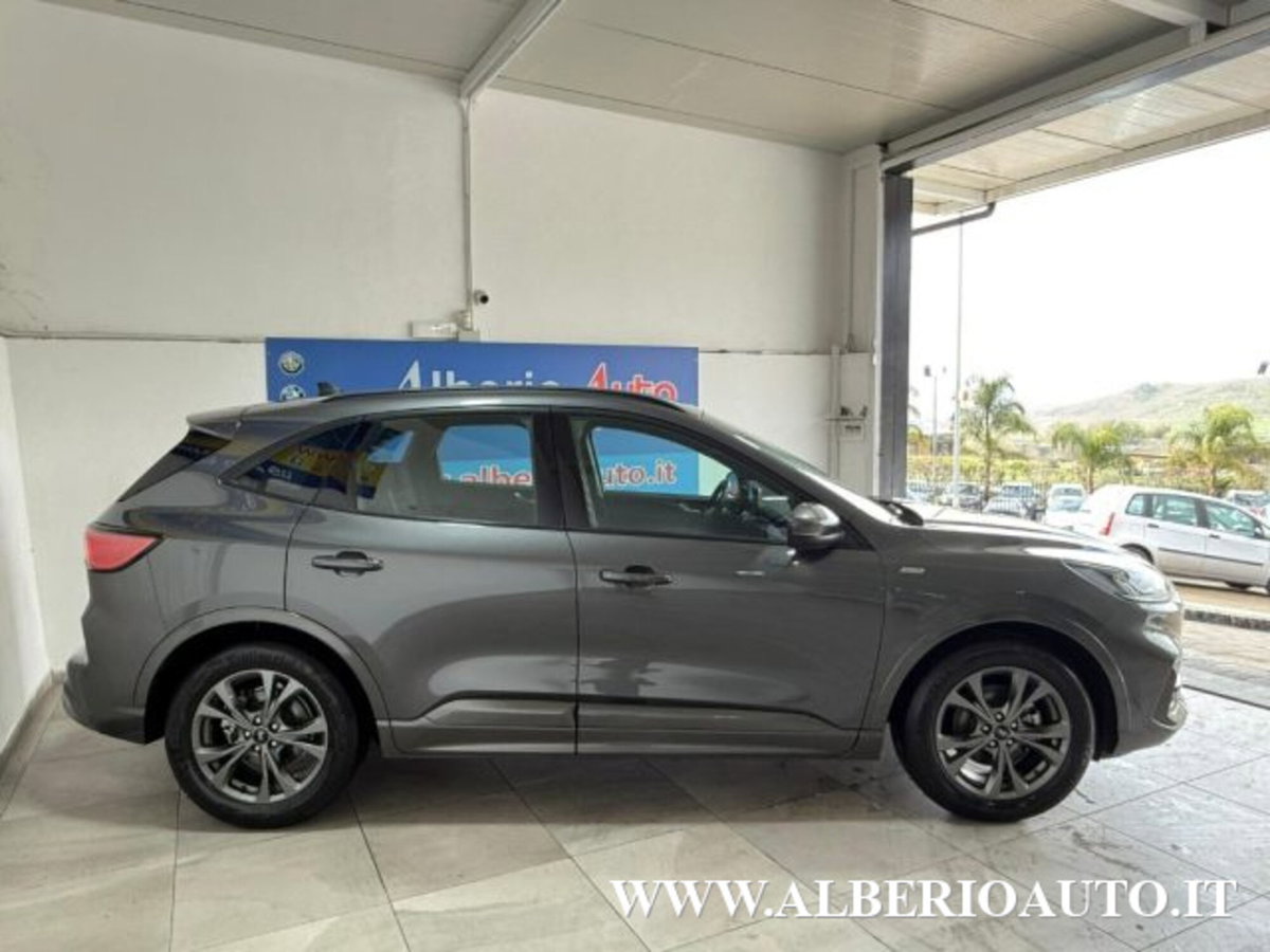 Ford Kuga 2.0 EcoBlue Hybrid 150 CV 2WD ST-Line (4)