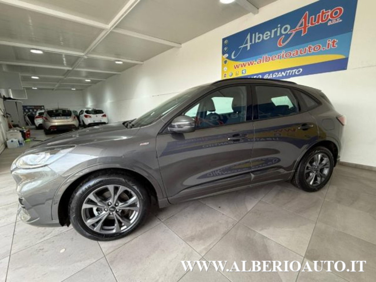 Ford Kuga 2.0 EcoBlue Hybrid 150 CV 2WD ST-Line (5)