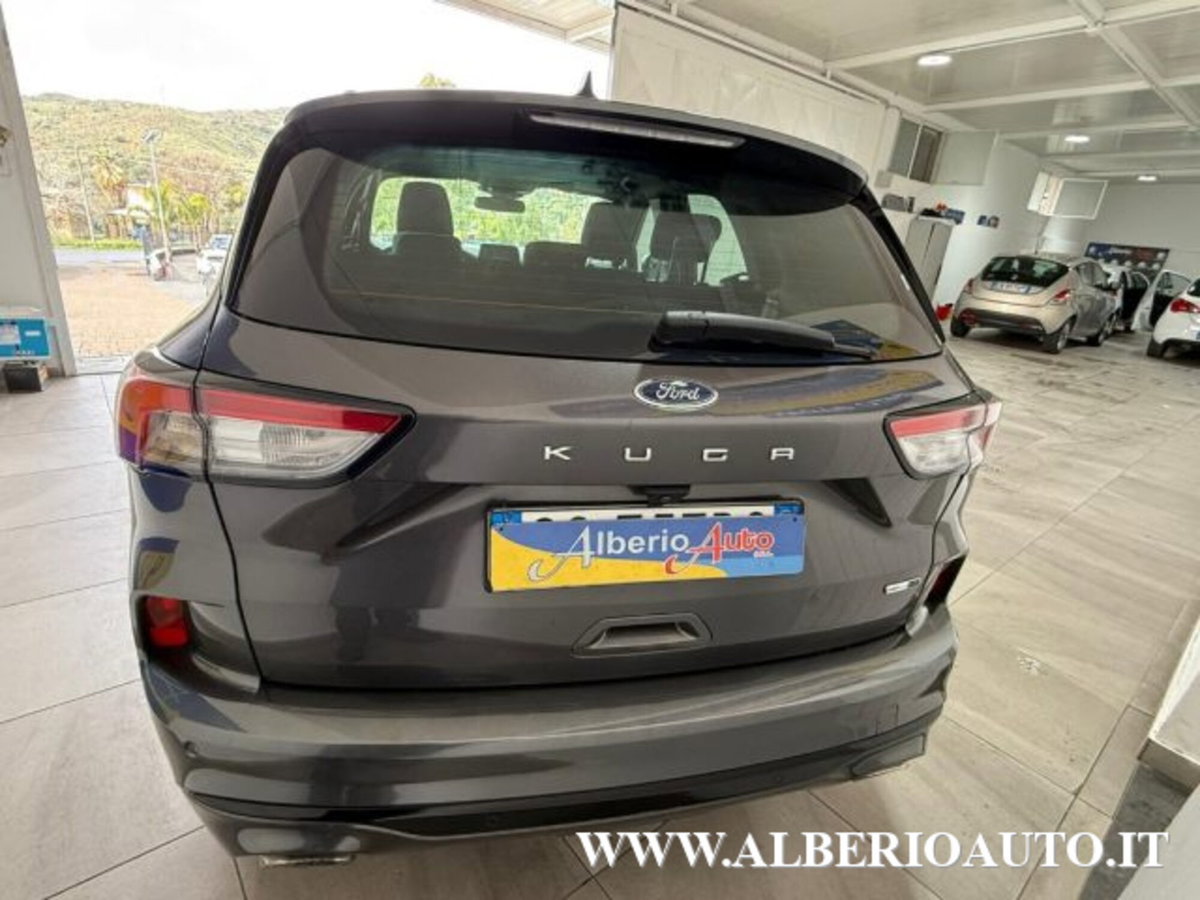 Ford Kuga 2.0 EcoBlue Hybrid 150 CV 2WD ST-Line (6)