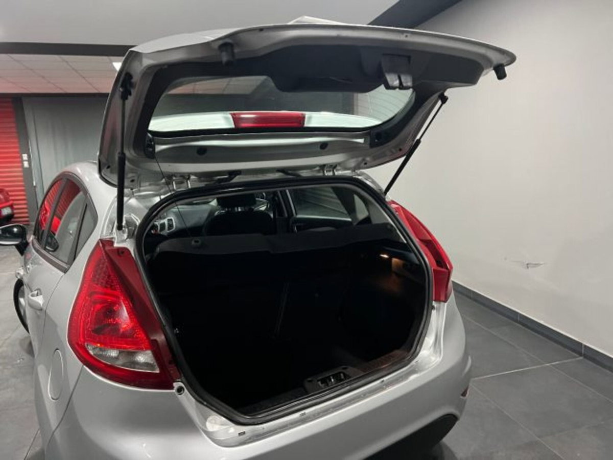 Ford Fiesta 1.4 TDCi 70CV 5 porte Titanium (11)
