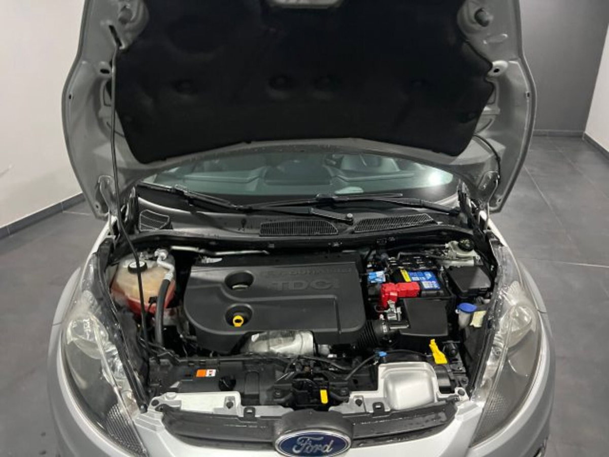 Ford Fiesta 1.4 TDCi 70CV 5 porte Titanium (12)