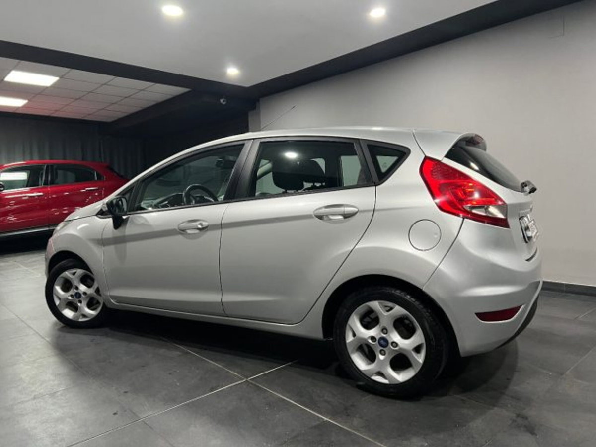 Ford Fiesta 1.4 TDCi 70CV 5 porte Titanium (5)