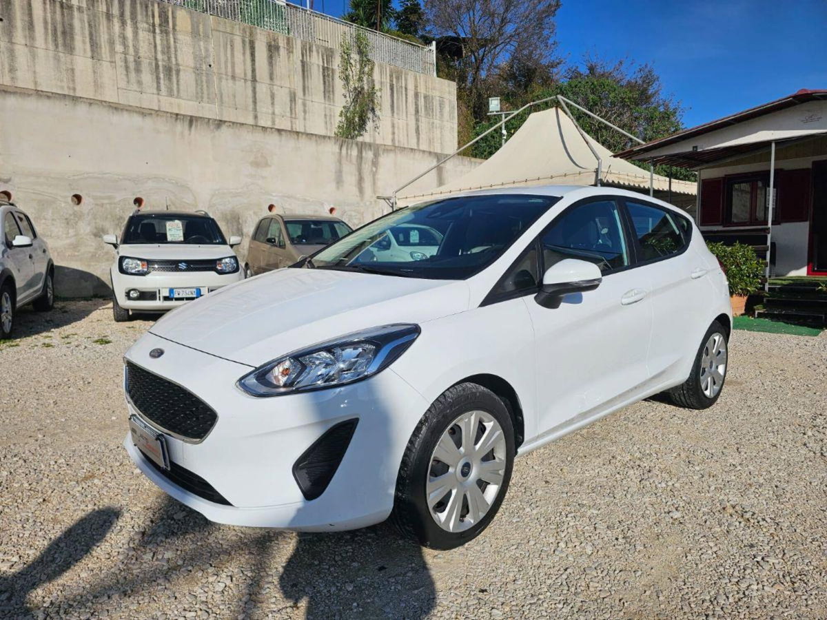 Ford Fiesta 1.5 TDCi 75CV 5 porte Titanium (3)