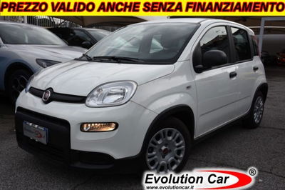 Fiat Panda 1.0 firefly hybrid s&s 70cv 5p.ti usata