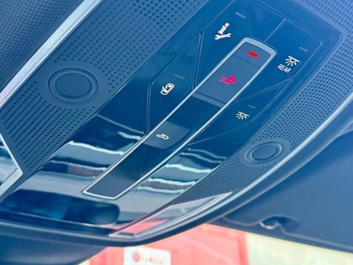 Audi A8 L 55 TFSI 3.0 quattro tiptronic (17)