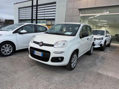 Fiat Panda 0.9 TwinAir Turbo Natural Power Easy usata