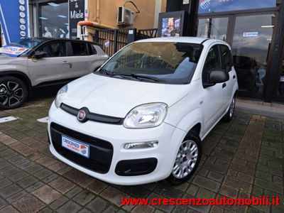Fiat Panda 1.2 Easy Van 4 posti usata
