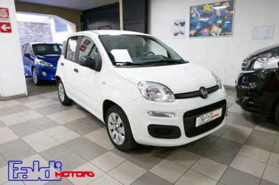 Fiat Panda 1.2 Pop usata