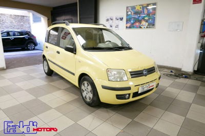 Fiat Panda 1.2 Dynamic usata