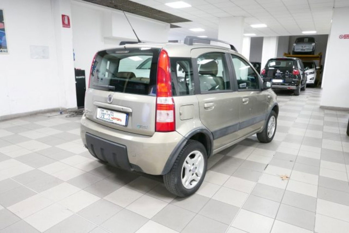 Fiat Panda 1.2 Climbing Natural Power (3)