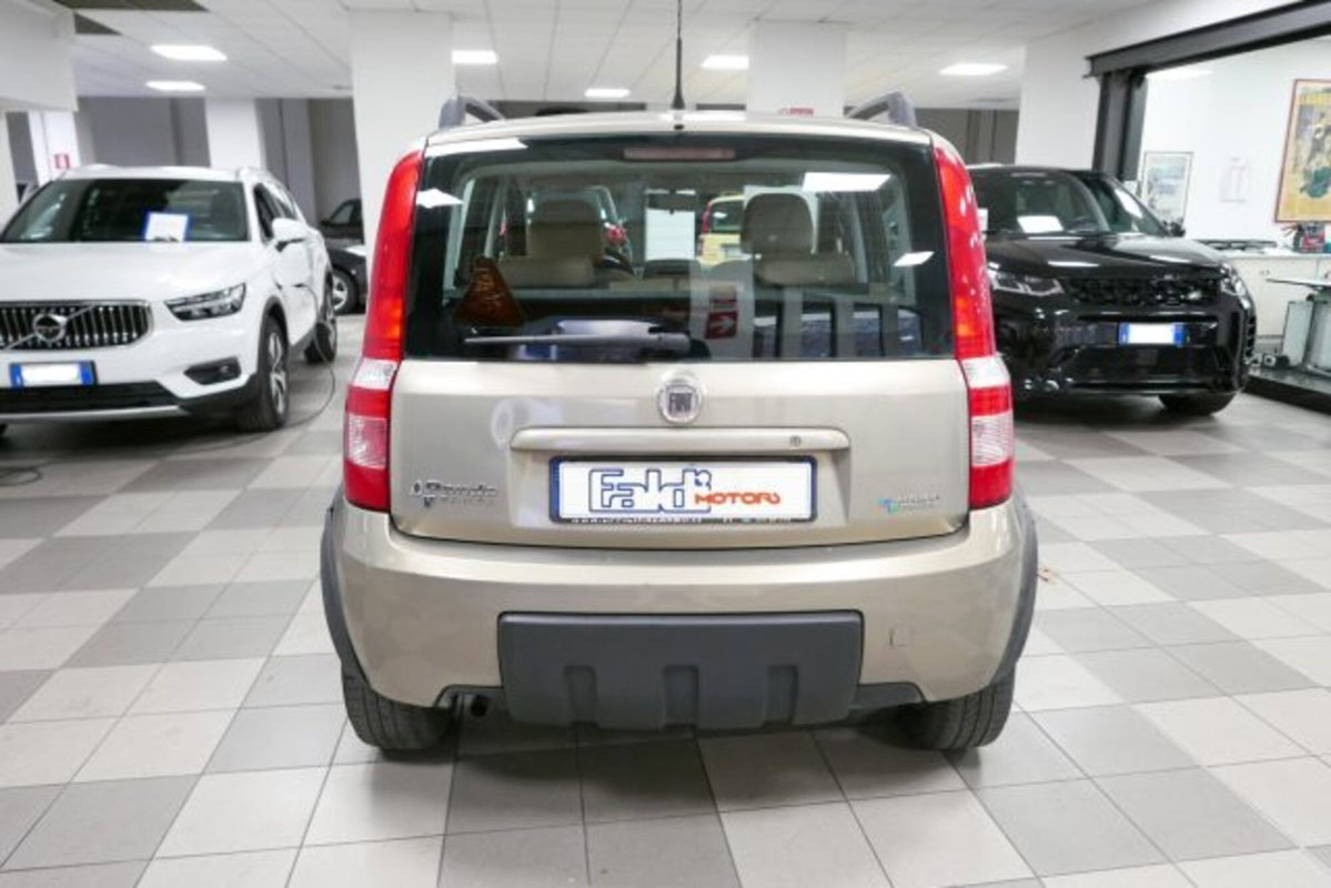 Fiat Panda 1.2 Climbing Natural Power (4)
