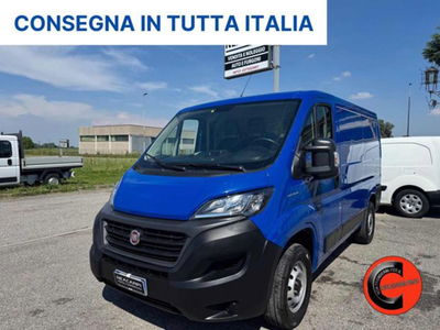 Fiat Ducato Furgone 30 CH1 2.3 mjt 120cv E6d-temp usato