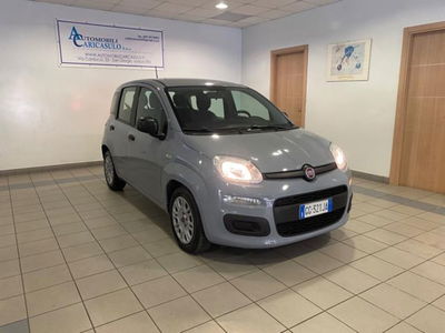 Fiat Panda 1.0 firefly hybrid s&s 70cv 5p.ti usata