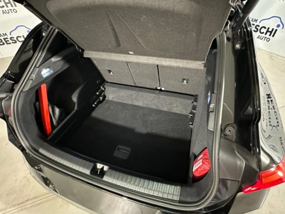 Cupra Terramar 1.5 hybrid 150cv dsg (15)
